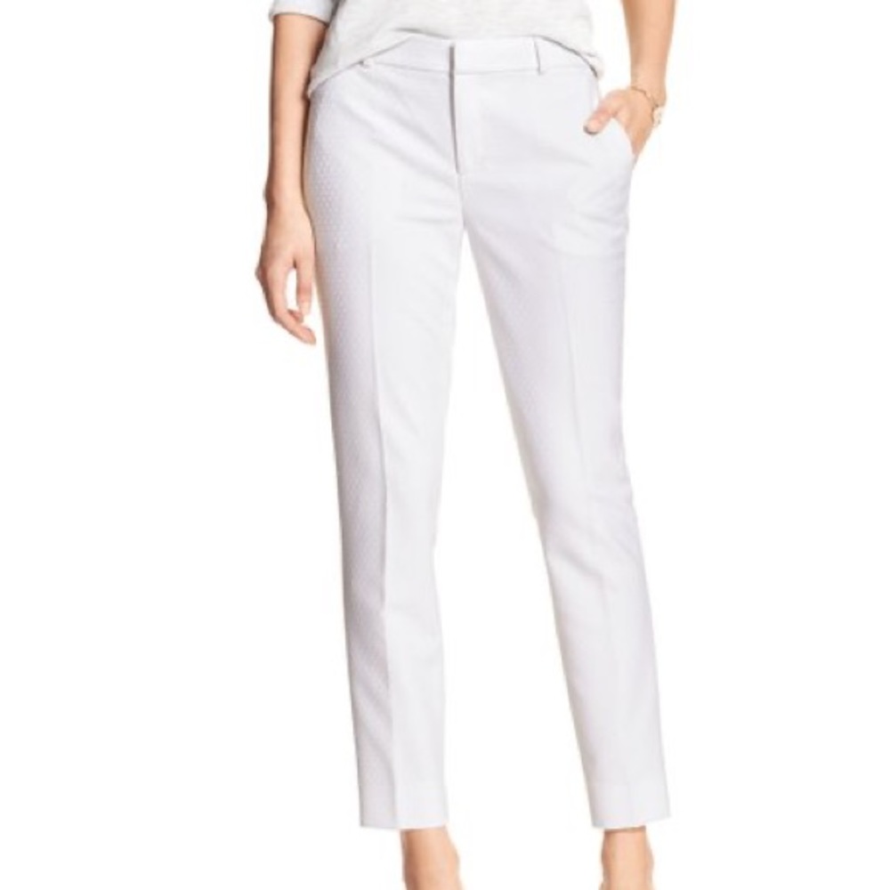 Banana Republic Hampton Pants